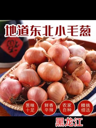 #小毛葱#小火葱#小笨毛葱#好吃不贵经济实惠 #