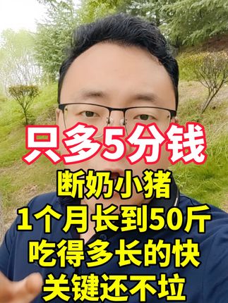 小猪断奶一个多月,都能长到50多斤!小猪奶粉,100发4包4公斤,一包拌料40-100斤。#养殖 #养猪人 #新农人计划2025