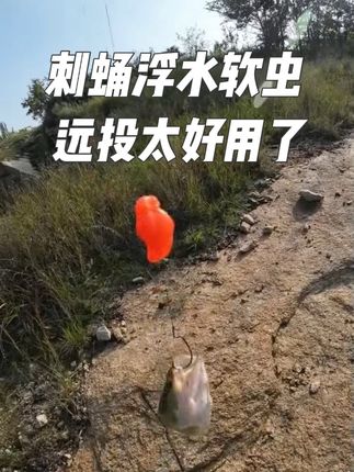 刺蛹打黑浮水软虫 这款梓隆新款刺蛹打黑浮水软虫太好吃了,无论是打黑还是大口鲈鱼都很好#路亚打黑 #路亚黑鱼 #刺蛹浮水软虫