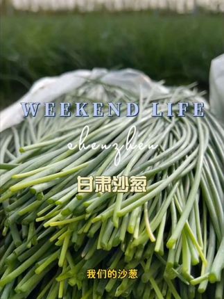 【顺丰包邮】现采沙葱甘肃民勤特产农家野菜新鲜蔬菜火锅凉拌饺子馅#沙葱 #甘肃 #野菜 #新鲜食材让您吃得放心 #家常菜