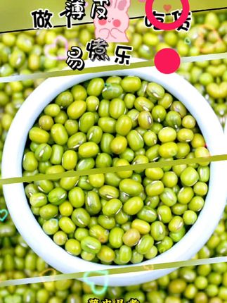 硃碌科 东北绿豆1000g秋收豆 绿豆沙绿豆粥原料可发豆芽打豆浆#东北绿豆 #夏天防暑必备@抖加DOU+上热门