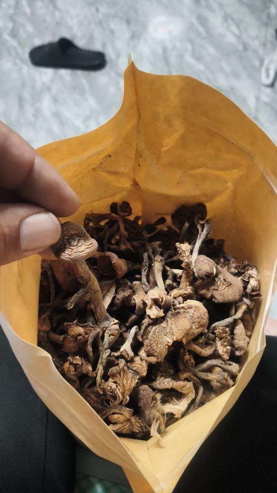 东西很好,价美物廉#我在抖音买买买