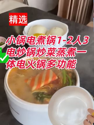 小锅电煮锅1-2人3电炒锅炒菜蒸煮一体电火锅多功能泡面锅宿舍电锅
