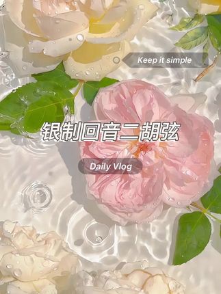 回音二胡银制弦加粗去杂音专业演奏级别活动下单赠进口松香#源头实力厂家 #涨知识 #二胡#二胡厂家#好物推荐🔥