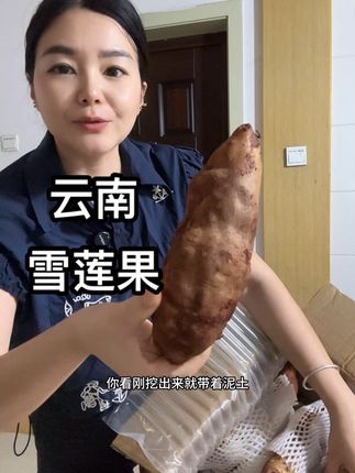 #云南雪莲果 #雪莲果 #新鲜采摘