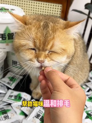 采用欧洲云杉温和排毛的同时还有鱼油维生素帮助猫咪美毛亮毛#养猫新手 #科学养宠攻略 #萌宠好物 #排毛冻干 #养猫人