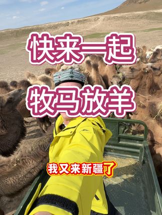 #大草原美好生活 #新农人计划