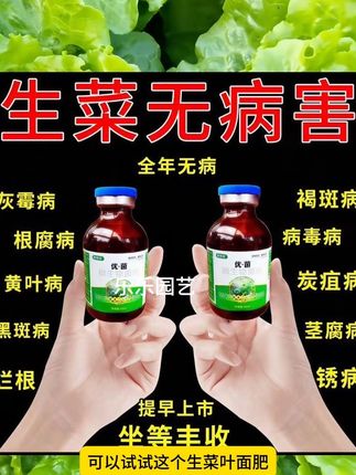种植生菜的农友们注意了,想要生菜长得好,产量高,就要提前预防生菜生长期遇到的霜霉病,软腐病,死棵烂苗的困扰,可以试试这个生菜专用叶面肥,它是根据生菜生长习性研制的,兑水稀释后整株喷施,预防生菜各种问题发生,促进生菜生长,提升产量#农业种植 #三农 #绿色蔬菜 #生菜种植 #病害防治