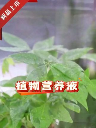 植物营养液通用型绿植僵苗黄叶急救土培水培盆栽花卉花肥 #好物推荐🔥 #植物营养液 #营养液 #花卉花肥 #花肥