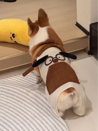 哇塞,这个背带裤也太可爱了吧!舒服又好穿!1-100斤的猫狗都有尺码哦~#宠物衣服 #萌宠好物 #狗狗衣服 #秋冬穿搭