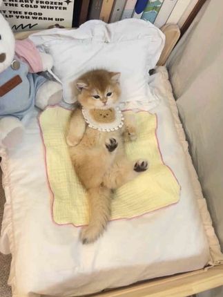 腰臀比神器」好穿不勒的塑身衣终于被我找到了!!!#塑身衣#完美身材#轻薄塑体衣推荐#连体塑身衣