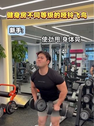 健身房不同等级的哑铃飞鸟 #青年创作者成长计划#健身小白必看经验 #哑铃飞鸟#肩部训练#唯有训练不可辜负