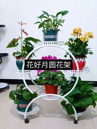 花好月圆花架,造型漂亮美观时尚#客厅花架#阳台花架#庭院花架#花好月圆花架