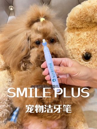 有了这个牙膏牙刷一体的洁牙笔,狗狗的牙齿终于干干净净了 #SMILEPLUS #SMILEPLUS宠物 #宠物洁牙笔 #宠物刷牙 #养狗经验分享