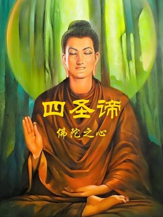 《佛陀之心》四圣谛 #独立思考