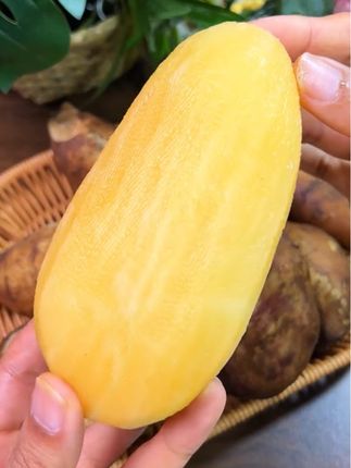 来自云南的天山雪莲果!秋季干燥正是吃它的好时候~又脆又甜又多汁!含有丰富的维生素,全家老小都可以放心吃#新鲜应季水果 #雪莲果 #云南美食 #优质农产品 #超便宜超划算