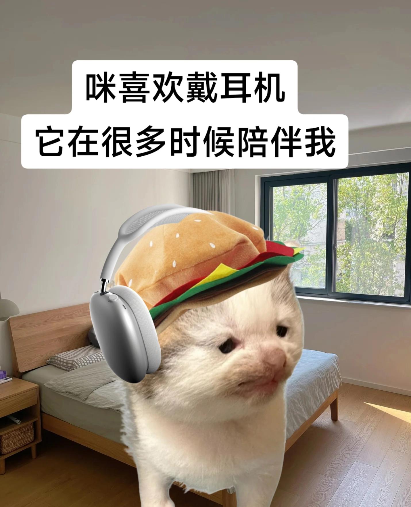人,咪是一只喜欢戴耳机的猫。音乐是我的解药,耳机是它的媒介#哈基米 #猫咪 #耳机 #情绪 #日常生活