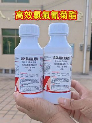 #新农人计划 #三农 #抖音助农 #功夫菊酯 #农业种植