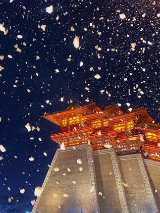 这一刻,确信是神都洛阳了! #洛阳#应天门 #雪景