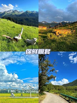 #保鲜膜套 日本Naqin那亲超高透防尘保鲜罩100只 NQ777012#一次性保鲜膜套 #好物推荐🔥 #保鲜膜套推荐 #好物分享