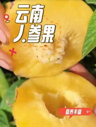 一口爆汁的人参果#优质农产品 #口感特别好