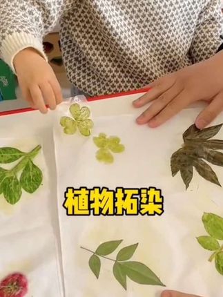 儿童diy植物拓染材料包幼儿园美术手工制作鲜花树叶拓印敲染玩具#植物拓染 #植物拓印 #敲染