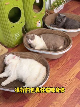 猫猫天生喜欢睡洗手盆,这个加厚加深的盆式猫抓板窝,简直戳中心窝窝!#猫窝#猫抓板#新手养猫#养猫经验分享