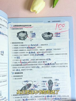 九月份上初二的同学,这个假期可以什么都不做,也要去狠抓生物地理#生地会考 #八年级 #初中会考地理生物
