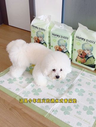 这香香的训导尿垫很适合不会定点上厕所的狗狗#宠物训导尿垫 #宠物尿垫 #宠物定点大小便 #超便宜超划算