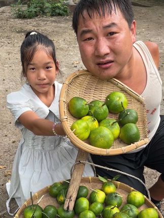 #橘子 #蜜橘 #应季水果产地直供 #大人小孩都爱吃#酸酸甜甜的味道