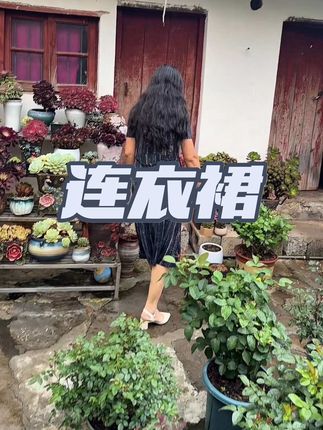 中老年女装连衣裙,面料冰丝弹力大,轻肤透气,遮肚子藏肉显瘦连衣裙#漂亮妈妈连衣裙 #厂家直发品质保证