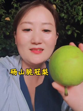 平时我都不吃水果的,见到这个砀山的梨,今天都吃了好几个! #砀山脆冠梨 #直播带货 #记录我的生活 #卖梨 #上热门🔥