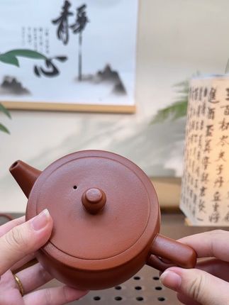 大容量的紫砂壶 #今天你喝茶了吗 #高端茶器 #今日分享 #上热门 #涨知识