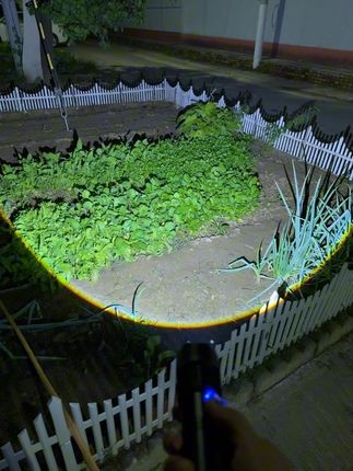 夜间钓鱼或者出行,带上这个强光变焦手电筒,可调光,很实用#手电筒#夜钓手电筒#强光手电筒#实用好物