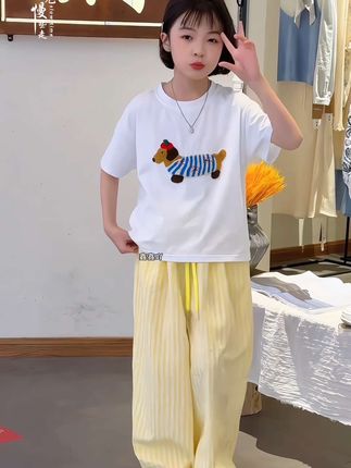 女童夏季韩版腊肠狗短袖T恤格子裤套装中大童女孩时髦儿童夏装潮#我要上热门 #高品质童装 #夏季穿搭 #女童套装 #女童穿搭 @巨量千川 @DOU+上热门 @巨量千川 @DOU+小助手