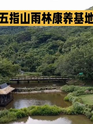 【雨林康养基地】海南五指山 #原创作品 #天然氧吧 #旅行推荐官 #爱生活爱旅游 #户外徒步 #景区打卡