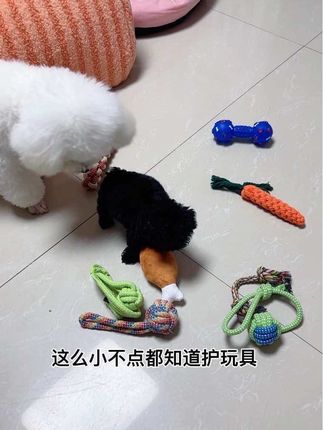 #狗狗玩具发声球 #狗狗玩具 #萌宠好物 #萌宠日常记录 #狗狗