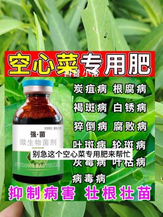 如果家里的空心菜,黄叶不生长等症状。可以试试这个#空心菜专用 #空心菜种植 #空心菜 #养护小知识 #三农