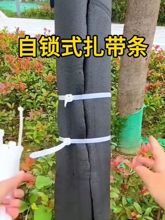 #自锁式扎带条#好物推荐分享