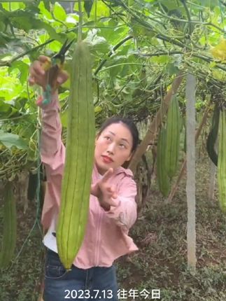 纯天然的丝瓜手工布鞋#好看又好穿 #软底软面穿上超舒服 #吸汗透气不臭脚