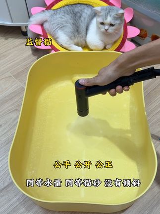 用三款常用的猫砂做了一个公平,公正,公开的测试,结果木薯砂吊打其他两款,关键工厂直发10斤35.9还送货上门#木薯猫砂 #性价比猫砂推荐 #无限回购的宝藏单品