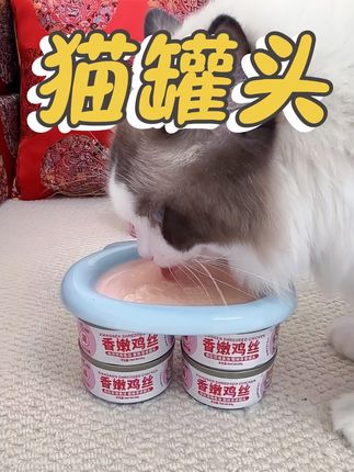 12块钱到手12罐的鸡丝罐头,配料表特别干净,养宠家庭还不赶嘛!#萌宠好物 #猫罐头 #宠物零食 #新手养猫 #好物推荐🔥