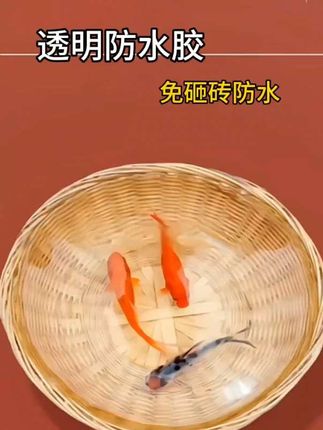 #日常分享 外墙瓷砖透明防水胶室外补漏王材料露台窗户专用防漏水防水涂料#源头实力厂家 #防水补漏 #免砸砖防水 #透明防水胶
