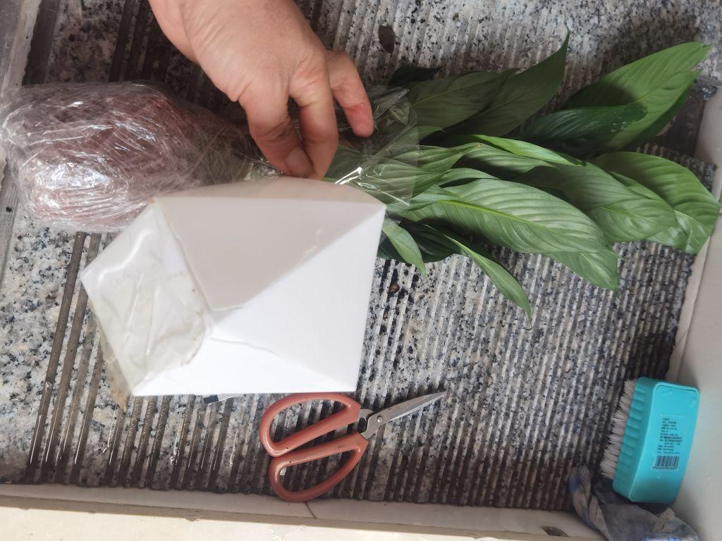 盆破碎,盆小的可怜,实物与直播间差太远了,不见意大家去这间店购买,#我在抖音买买买