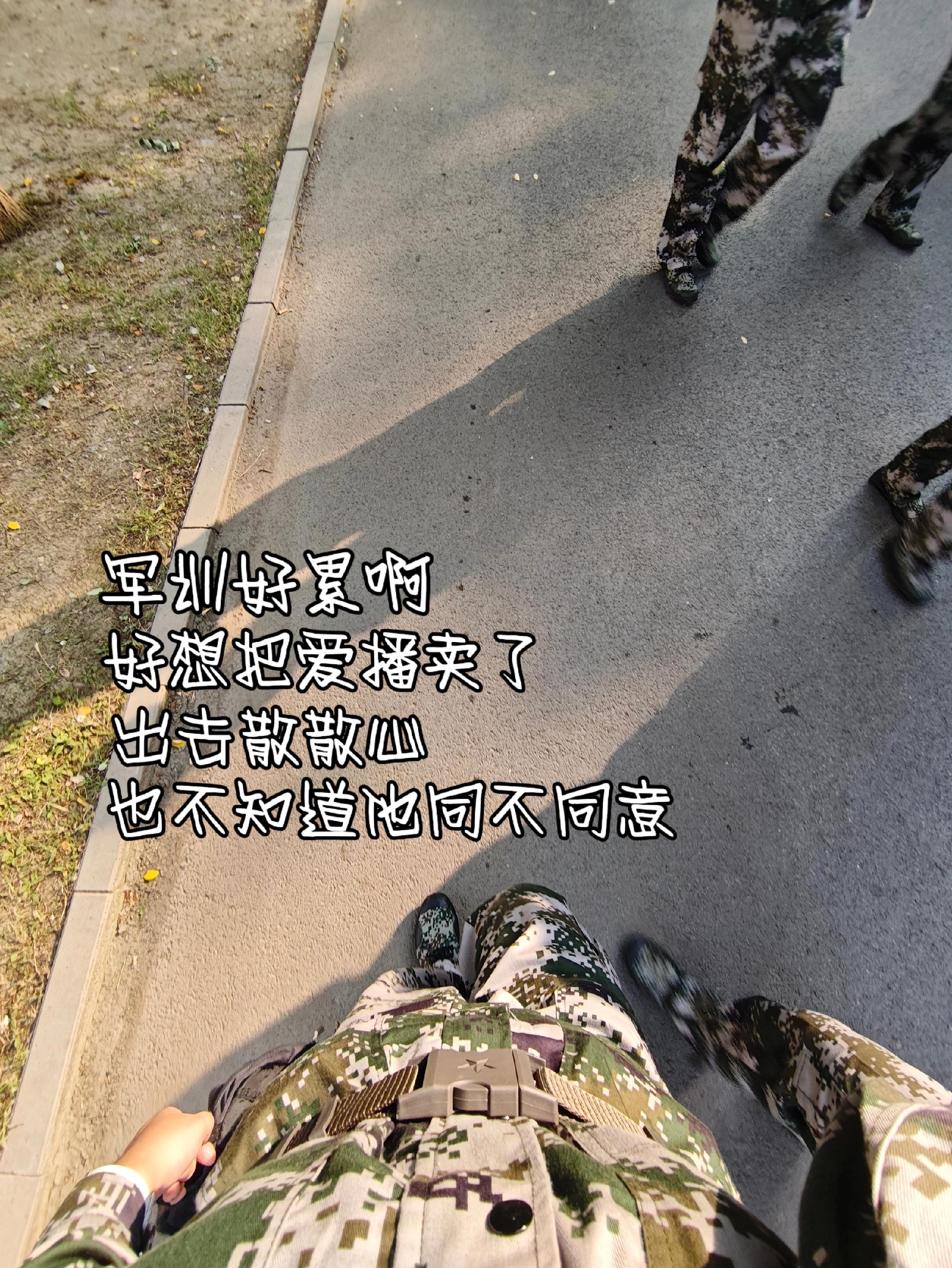 军训想把你@𝑇.野禾ʸʰ 卖了出去玩👉👈实在不行替我训也行👉👈#听潮阁二创 #军训 #节目效果 #听潮阁野禾