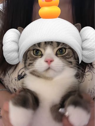 这舞太可爱啦 #浴帽小毛孩到底能有多可爱 #chipi猫咪 #猫咪摇 #这个猫头好上头