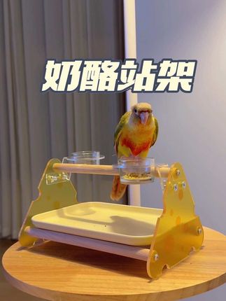 终于找到好看又实用的桌面站架了!#鹦鹉用品#桌面站架