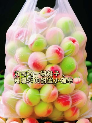 山西运城现摘新鲜水蜜桃 脆桃爽口,应季水果#优质农产品 #应季水果 #快来一起尝个鲜 #口感好 #抖音助农扶农 @DOU+小助手 @抖加🔥上热门🔥dou+🔥热点宝