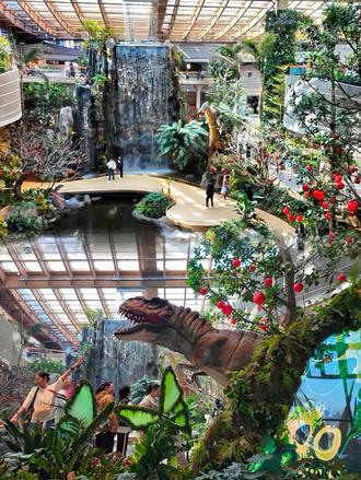 济南新晋南洋秘境|不出城邂逅狮城年味
#济南鹊华中新园#在济南感受新加坡之旅#过年#年味