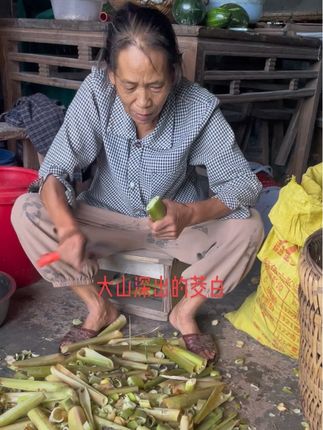 大山深出的茭白,山泉水长年灌溉,因为有了这个平台,让它不再老在这个深山沟沟里,也让远方的你们也能吃到健康的美味#原创视频 #分享家乡特产 #农村生活日常